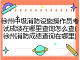 徐州中级消防设施操作员考试成绩在哪里查询怎么查(徐州消防成绩查询在哪里)