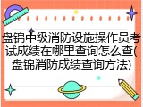 盘锦中级消防设施操作员考试成绩在哪里查询怎么查(盘锦消防成绩查询方法)