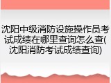 沈阳中级消防设施操作员考试成绩在哪里查询怎么查(沈阳消防考试成绩查询)