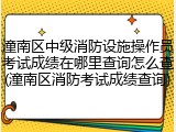 潼南区中级消防设施操作员考试成绩在哪里查询怎么查(潼南区消防考试成绩查询)