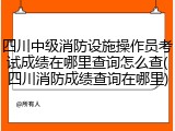 四川中级消防设施操作员考试成绩在哪里查询怎么查(四川消防成绩查询在哪里)