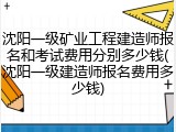沈阳一级矿业工程建造师报名和考试费用分别多少钱(沈阳一级建造师报名费用多少钱)