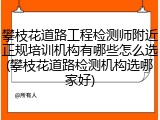 攀枝花道路工程检测师附近正规培训机构有哪些怎么选(攀枝花道路检测机构选哪家好)