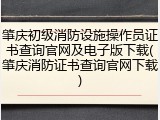 肇庆初级消防设施操作员证书查询官网及电子版下载(肇庆消防证书查询官网下载)
