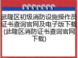 武隆区初级消防设施操作员证书查询官网及电子版下载(武隆区消防证书查询官网下载)