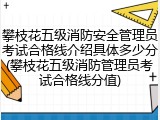 攀枝花五级消防安全管理员考试合格线介绍具体多少分(攀枝花五级消防管理员考试合格线分值)