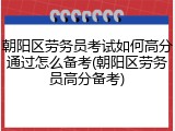 朝阳区劳务员考试如何高分通过怎么备考(朝阳区劳务员高分备考)