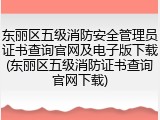 东丽区五级消防安全管理员证书查询官网及电子版下载(东丽区五级消防证书查询官网下载)