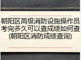 朝阳区高级消防设施操作员考完多久可以查成绩如何查(朝阳区消防成绩查询)