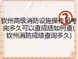 钦州高级消防设施操作员考完多久可以查成绩如何查(钦州消防成绩查询多久)