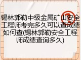 锡林郭勒中级金属矿山安全工程师考完多久可以查成绩如何查(锡林郭勒安全工程师成绩查询多久)
