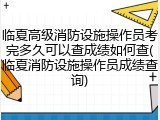 临夏高级消防设施操作员考完多久可以查成绩如何查(临夏消防设施操作员成绩查询)