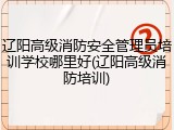 辽阳高级消防安全管理员培训学校哪里好(辽阳高级消防培训)