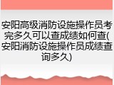 安阳高级消防设施操作员考完多久可以查成绩如何查(安阳消防设施操作员成绩查询多久)