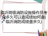 临沂高级消防设施操作员考完多久可以查成绩如何查(临沂消防成绩查多久)
