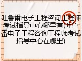 吐鲁番电子工程咨询工程师考试指导中心哪里有(吐鲁番电子工程咨询工程师考试指导中心在哪里)