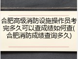 合肥高级消防设施操作员考完多久可以查成绩如何查(合肥消防成绩查询多久)