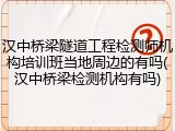 汉中桥梁隧道工程检测师机构培训班当地周边的有吗(汉中桥梁检测机构有吗)