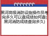 黑河高级消防设施操作员考完多久可以查成绩如何查(黑河消防成绩查询多久)