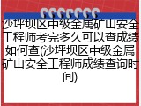 沙坪坝区中级金属矿山安全工程师考完多久可以查成绩如何查(沙坪坝区中级金属矿山安全工程师成绩查询时间)