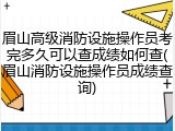 眉山高级消防设施操作员考完多久可以查成绩如何查(眉山消防设施操作员成绩查询)