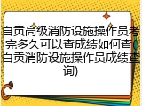自贡高级消防设施操作员考完多久可以查成绩如何查(自贡消防设施操作员成绩查询)