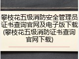 攀枝花五级消防安全管理员证书查询官网及电子版下载(攀枝花五级消防证书查询官网下载)