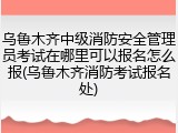 乌鲁木齐中级消防安全管理员考试在哪里可以报名怎么报(乌鲁木齐消防考试报名处)