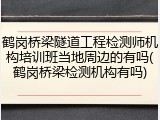 鹤岗桥梁隧道工程检测师机构培训班当地周边的有吗(鹤岗桥梁检测机构有吗)