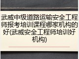 武威中级道路运输安全工程师报考培训课程哪家机构的好(武威安全工程师培训好机构)
