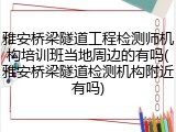 雅安桥梁隧道工程检测师机构培训班当地周边的有吗(雅安桥梁隧道检测机构附近有吗)