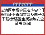 武清区中级金属冶炼安全工程师证书查询官网及电子版下载(武清区金属冶炼安全证书查询)