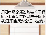 辽阳中级金属冶炼安全工程师证书查询官网及电子版下载(辽阳金属安全证书查询)