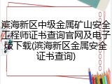滨海新区中级金属矿山安全工程师证书查询官网及电子版下载(滨海新区金属安全证书查询)