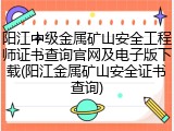 阳江中级金属矿山安全工程师证书查询官网及电子版下载(阳江金属矿山安全证书查询)