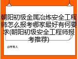 朝阳初级金属冶炼安全工程师怎么报考哪家最好有何要求(朝阳初级安全工程师报考推荐)
