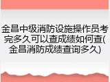 金昌中级消防设施操作员考完多久可以查成绩如何查(金昌消防成绩查询多久)