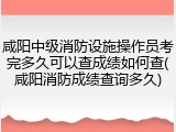 咸阳中级消防设施操作员考完多久可以查成绩如何查(咸阳消防成绩查询多久)