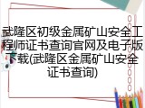 武隆区初级金属矿山安全工程师证书查询官网及电子版下载(武隆区金属矿山安全证书查询)
