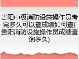 贵阳中级消防设施操作员考完多久可以查成绩如何查(贵阳消防设施操作员成绩查询多久)