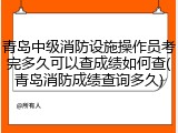 青岛中级消防设施操作员考完多久可以查成绩如何查(青岛消防成绩查询多久)
