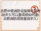 合肥中级消防设施操作员考完多久可以查成绩如何查(合肥消防成绩查询多久)