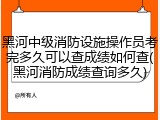 黑河中级消防设施操作员考完多久可以查成绩如何查(黑河消防成绩查询多久)