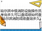 哈尔滨中级消防设施操作员考完多久可以查成绩如何查(哈尔滨消防成绩查询多久)