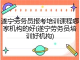 遂宁劳务员报考培训课程哪家机构的好(遂宁劳务员培训好机构)