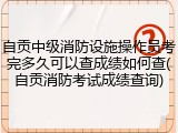 自贡中级消防设施操作员考完多久可以查成绩如何查(自贡消防考试成绩查询)