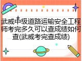 武威中级道路运输安全工程师考完多久可以查成绩如何查(武威考完查成绩)