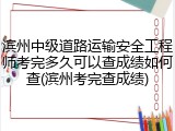 滨州中级道路运输安全工程师考完多久可以查成绩如何查(滨州考完查成绩)