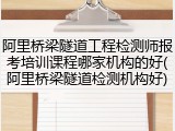 阿里桥梁隧道工程检测师报考培训课程哪家机构的好(阿里桥梁隧道检测机构好)