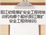 阳江初级煤矿安全工程师培训机构哪个最好(阳江煤矿安全工程师培训)